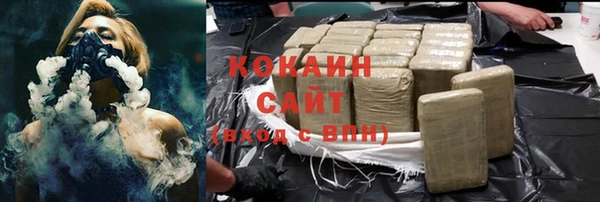 ГАЛЛЮЦИНОГЕННЫЕ ГРИБЫ Осинники